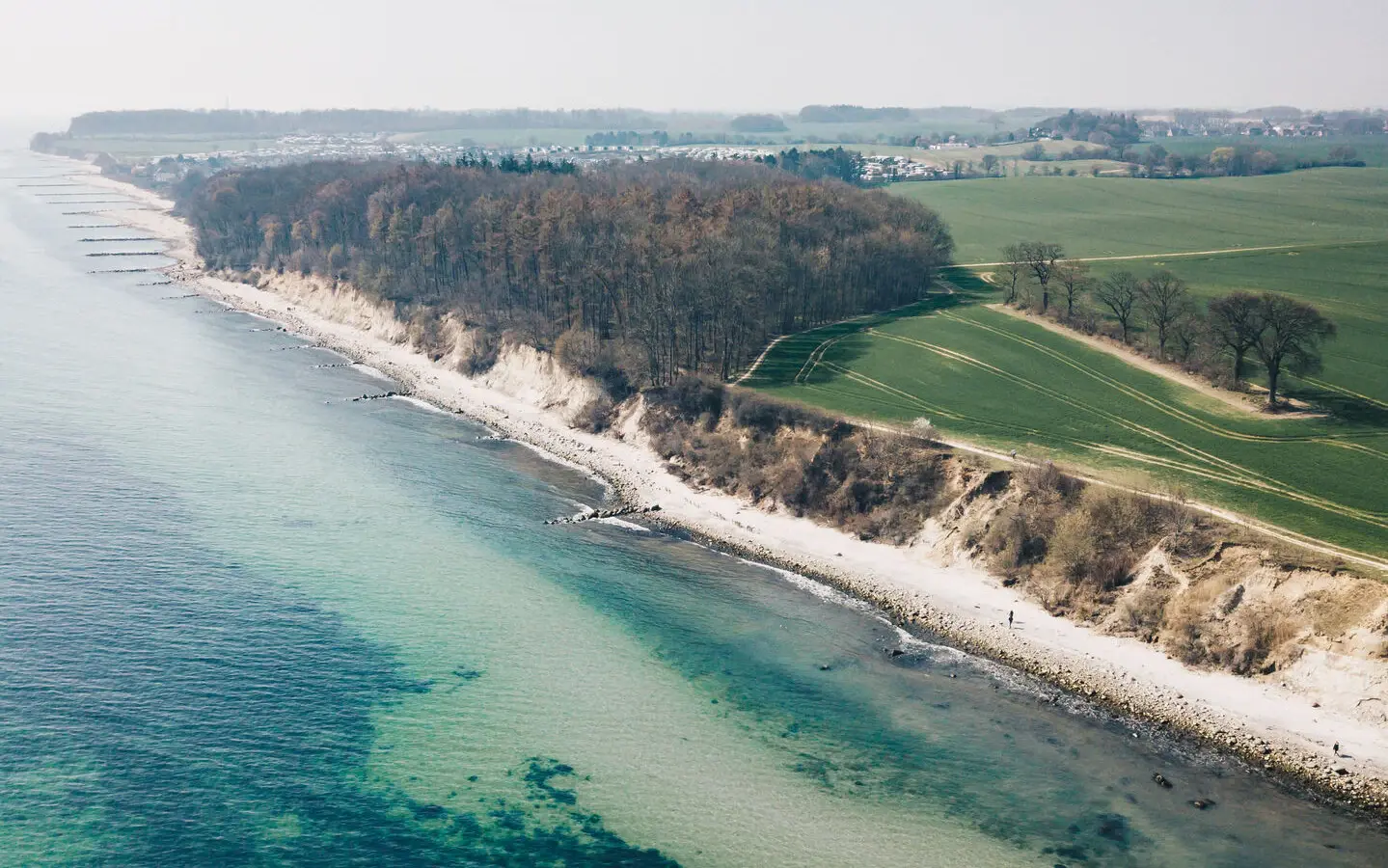 Eine Luftaufnahme einer Küstenregion. Blaues Wasser trifft auf einen langen Sandstrand un geht in grüne Wälder und Wiesen über.