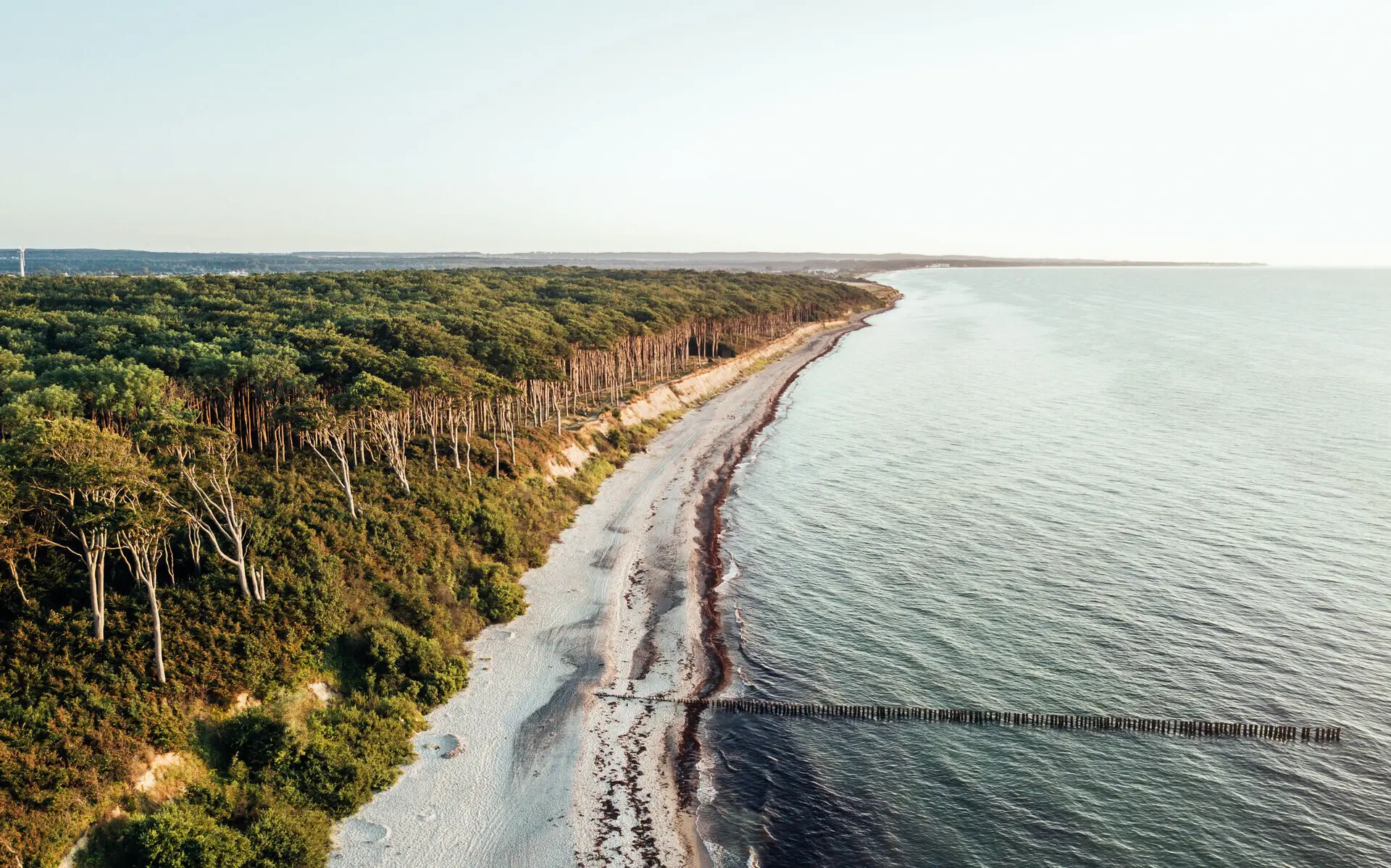 Wald Warnemünde Die Ostsee in Warnemünde aus der Vogelperspektive mit einem Strand und Bäumen.