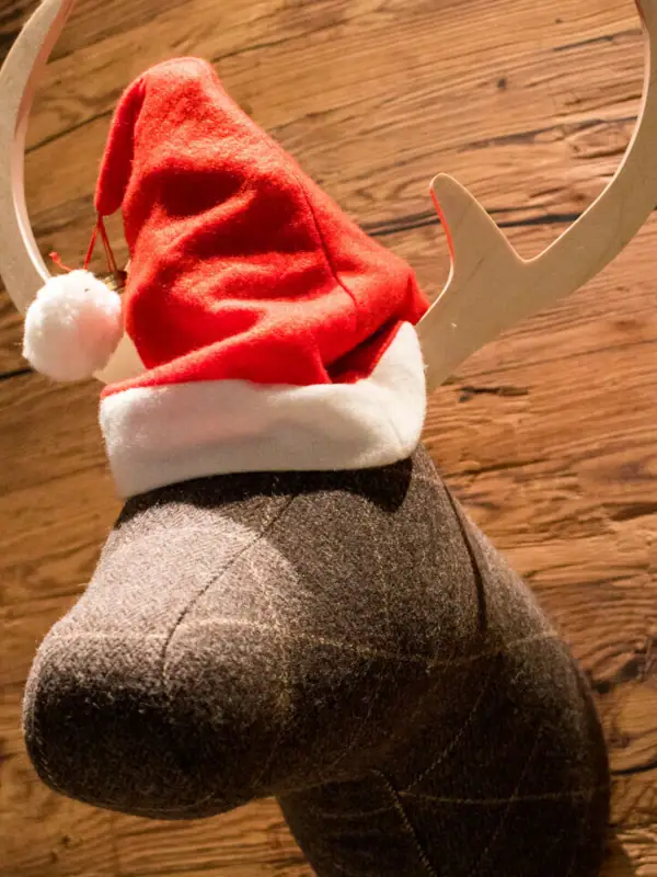 Weihnachtselch Ein ausgestopfter Elchkopf mit Weihnachtsmütze an der Wand.