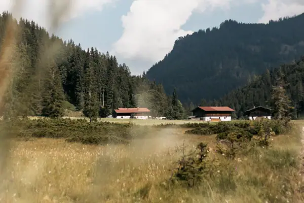 Almen Ein Feld mit Häusern inmitten eines Waldes.