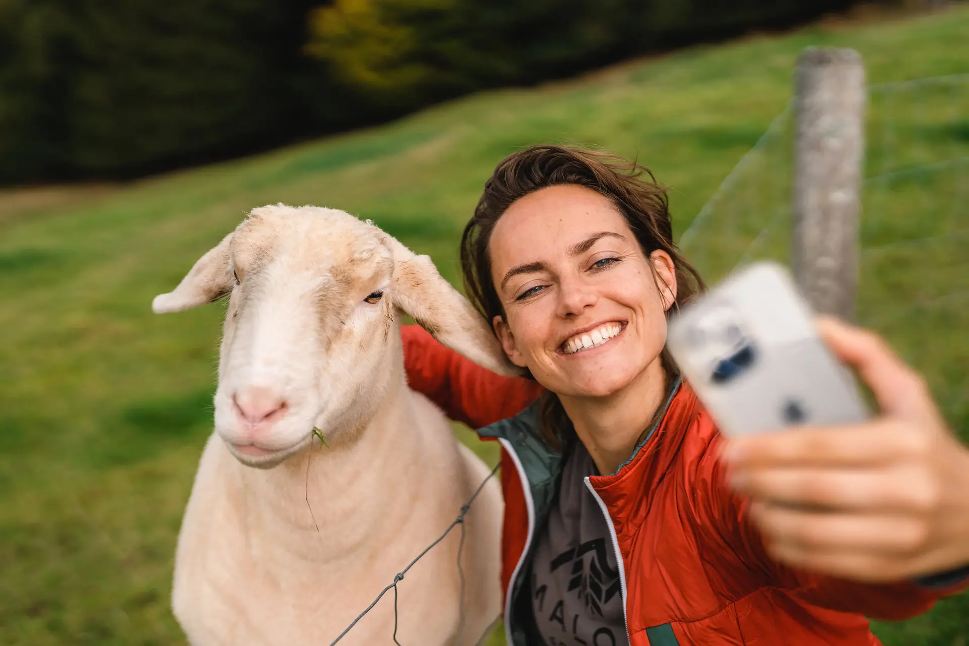 Schaf Ruhpolding Frau macht draußen ein Selfie mit einem Schaf.