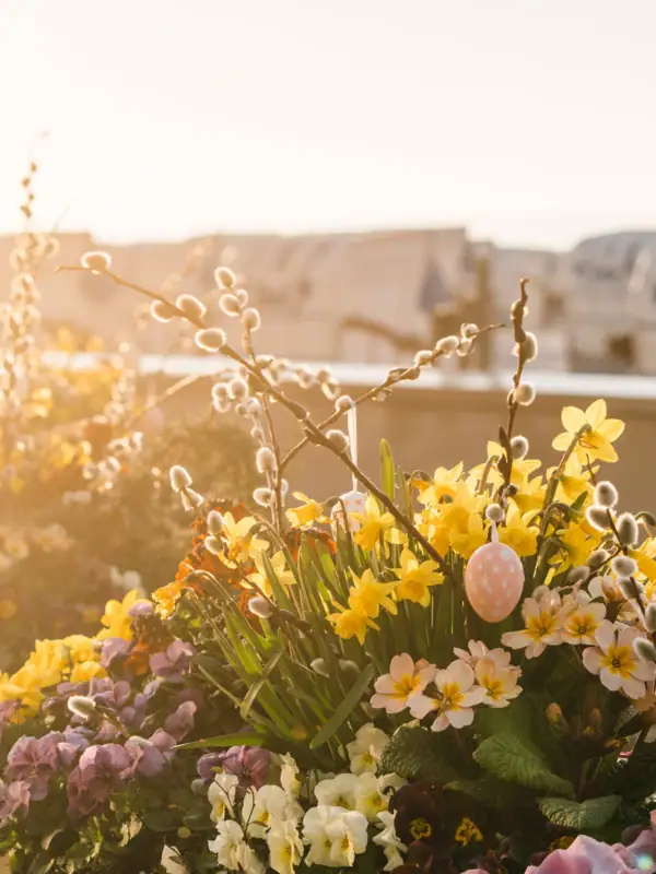 Osterdeko Eine Gruppe von Blumen mit einem weißen Ei in ihrer Mitte.