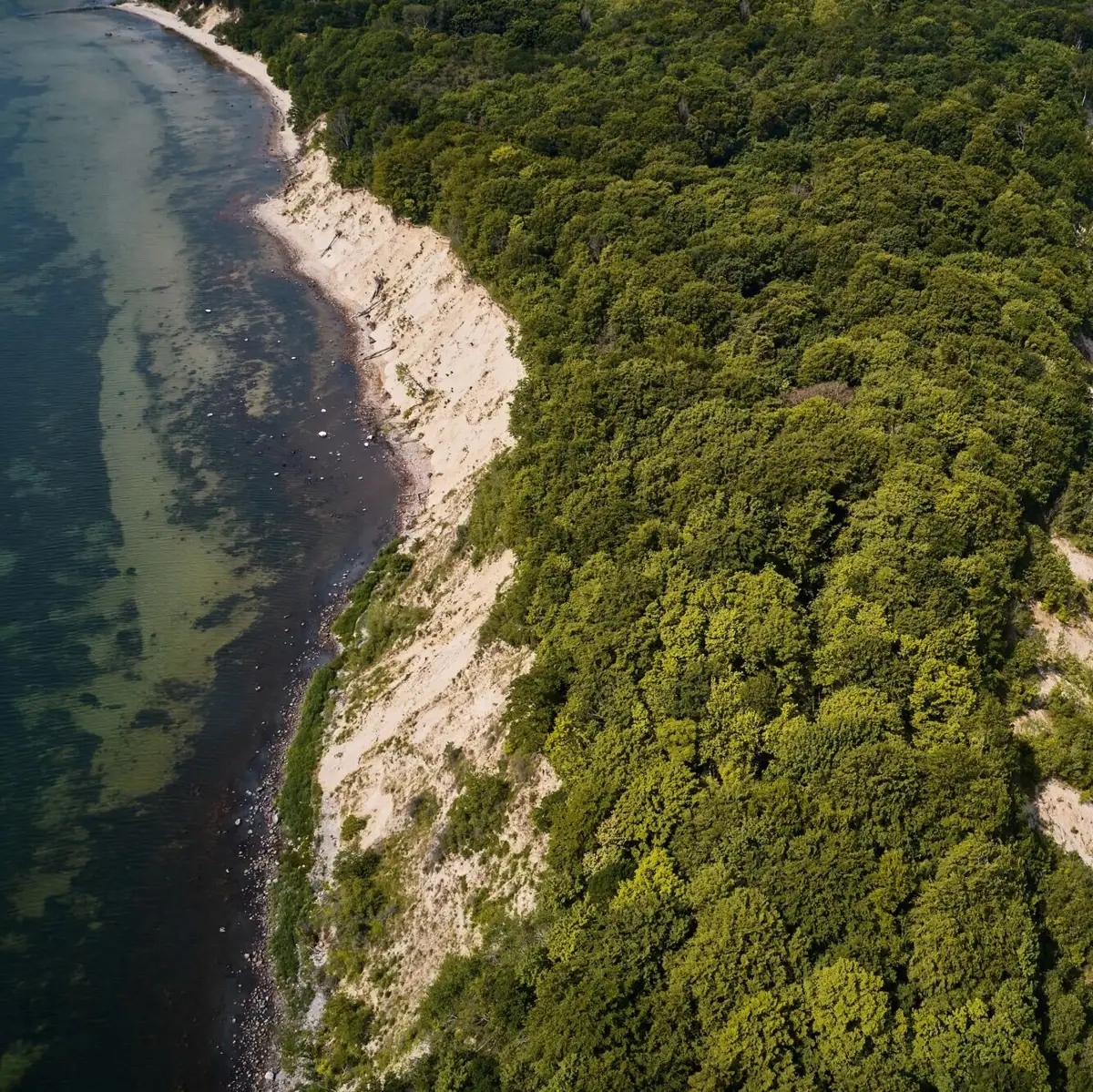 Luftaufnahme Rügen Luftaufnahme eines Strandes mit angrenzenden Bäumen.