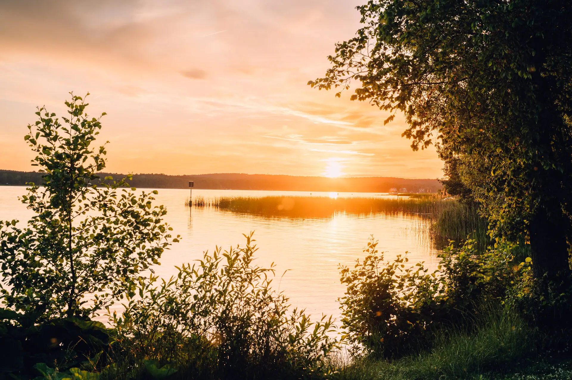 Scharmützelsee Sonnenuntergang über einem See mit Bäumen im Vordergrund.