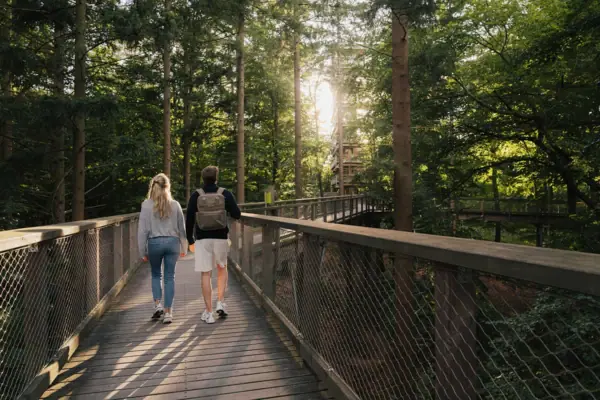 Baumwipfelpfad auf Usedom Ein Mann und eine Frau gehen auf einer Brücke beim Baumwipfelpfad auf Usedom.