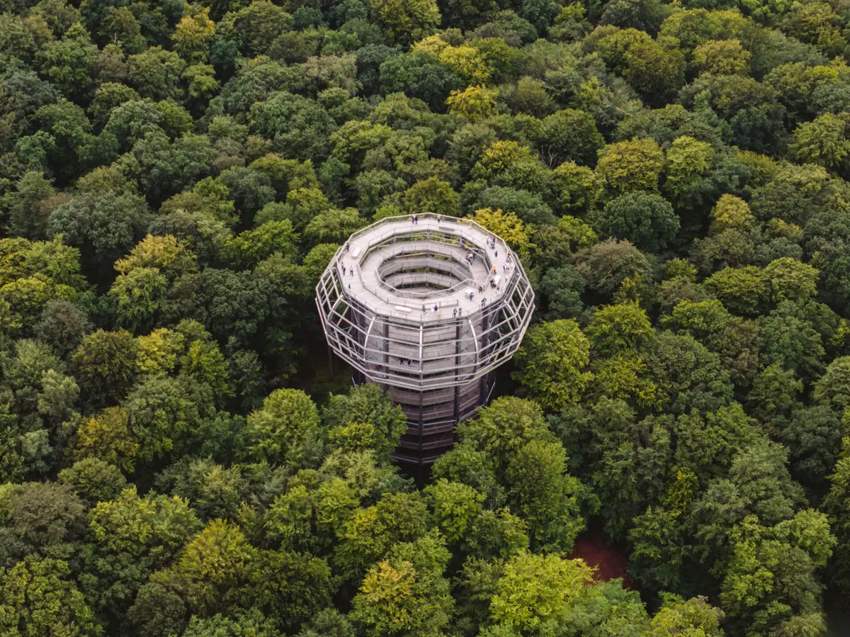 Aussichtsturm Ein Turm inmitten eines Waldes.