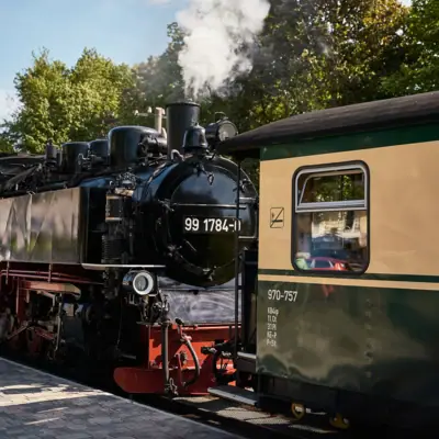 Rasender Roland Ein Zug auf den Gleisen.