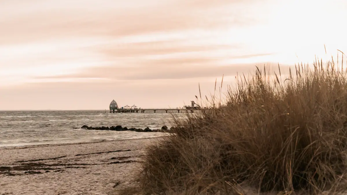 Strand von Grömitz Strand mit einem Pier und Gras im Vordergrund.