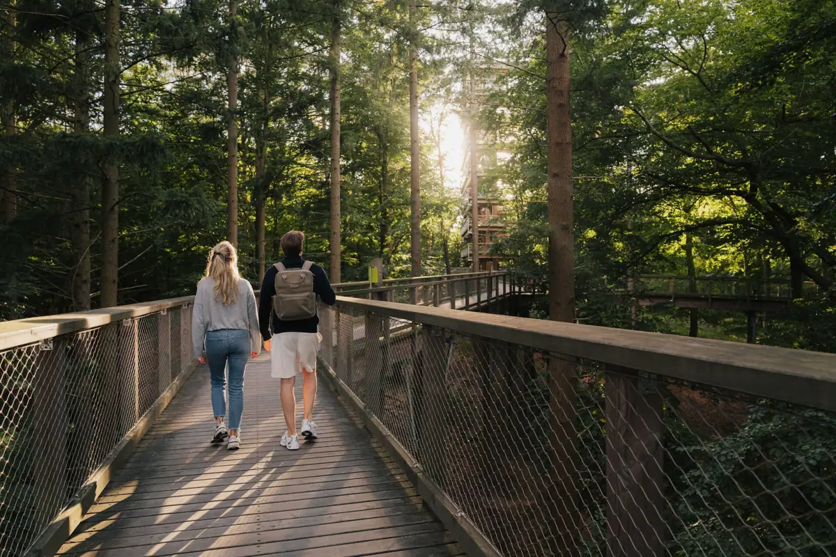 Wandern beim Baumwipfelpfad in Usedom Ein Mann und eine Frau gehen auf einer Brücke beim Baumwipfelpfad in Usedom