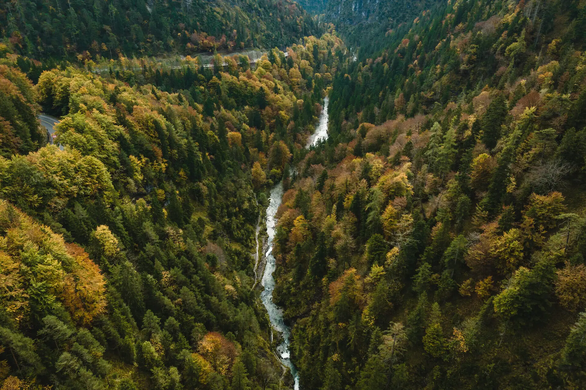 Waldlandschaft Ein Fluss, der durch einen Wald fließt.