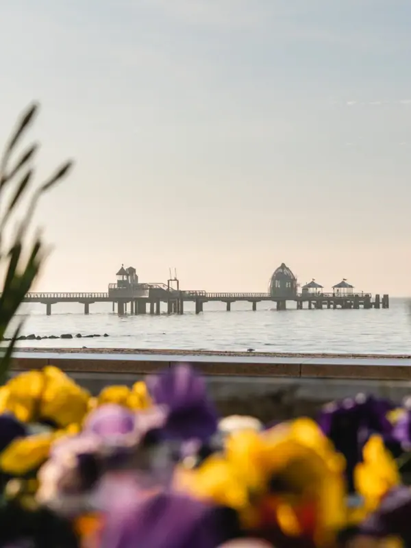 Seebrücke Ein Pier mit einer Brücke im Wasser unter freiem Himmel.