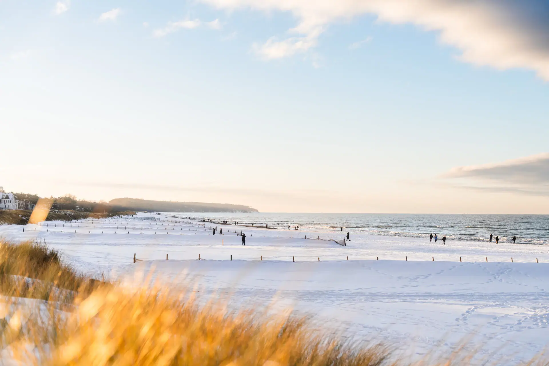 Winter in Warnemünde Schneebedeckter Strand mit Menschen und Bäumen im Freien.