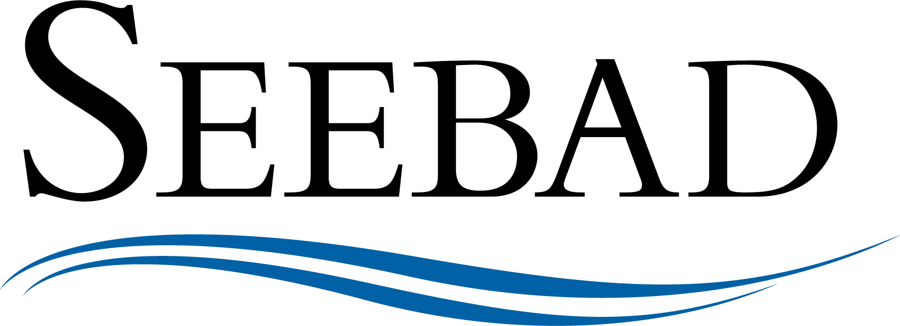 SEEBAD Logo Der Schriftzug SEEBAD mit blauen Wellen darunter.