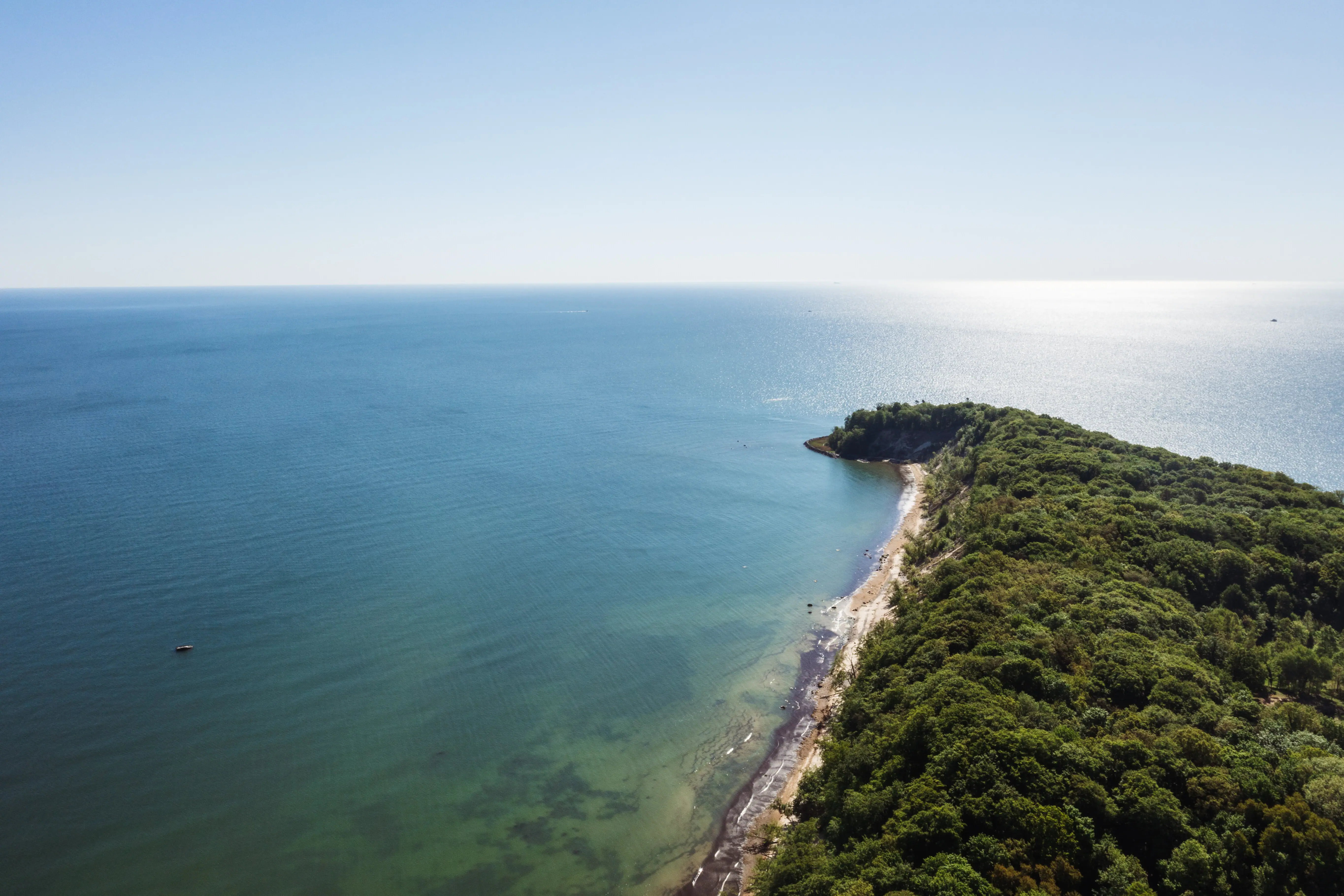 Strand mit Bäumen und Wasser im Vordergrund.