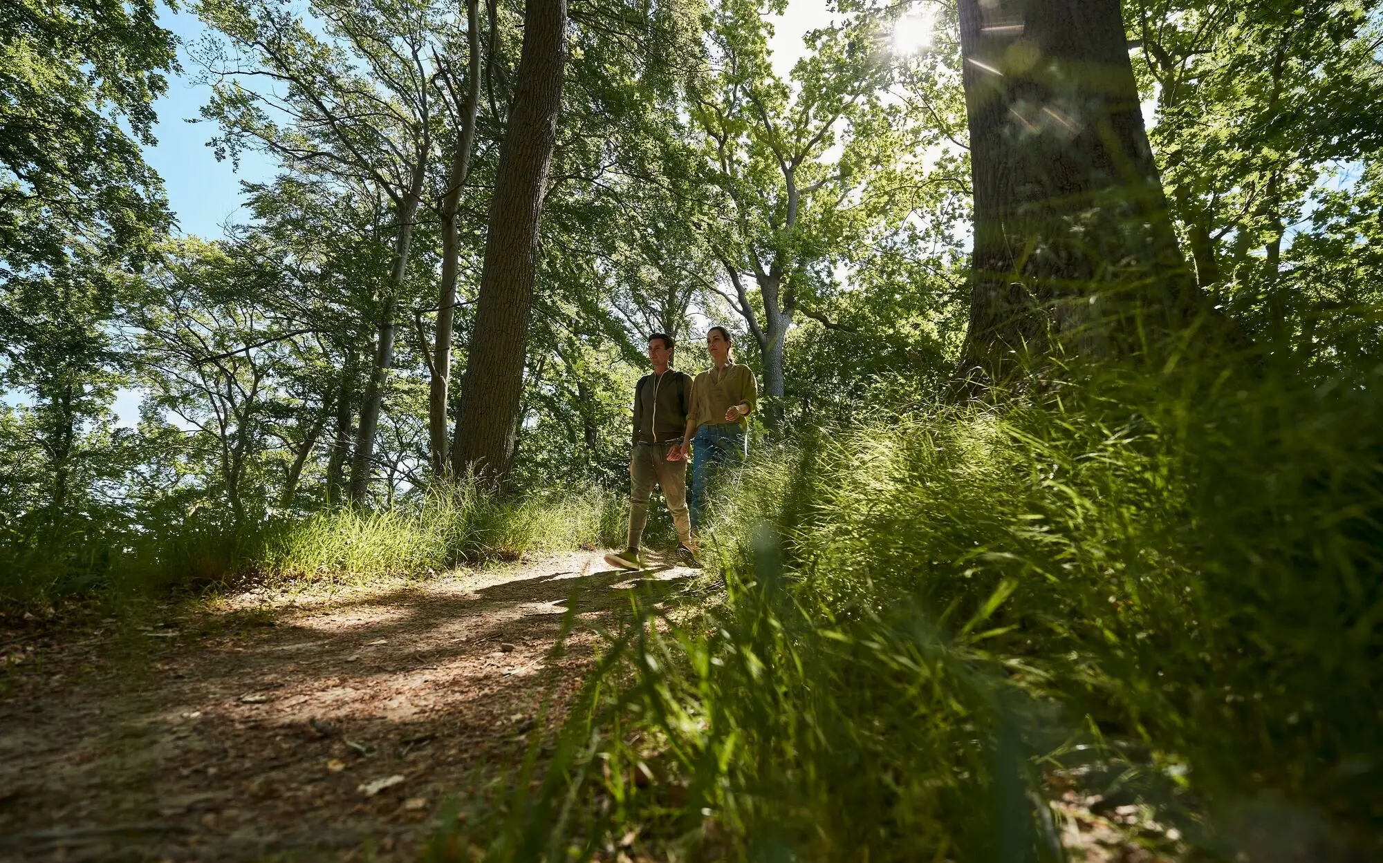 Zwei Personen gehen auf einem Waldweg.