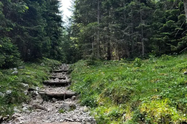 Laufen und Wandern Steinstufen führen zu einem grasbewachsenen Hügel mit Bäumen.