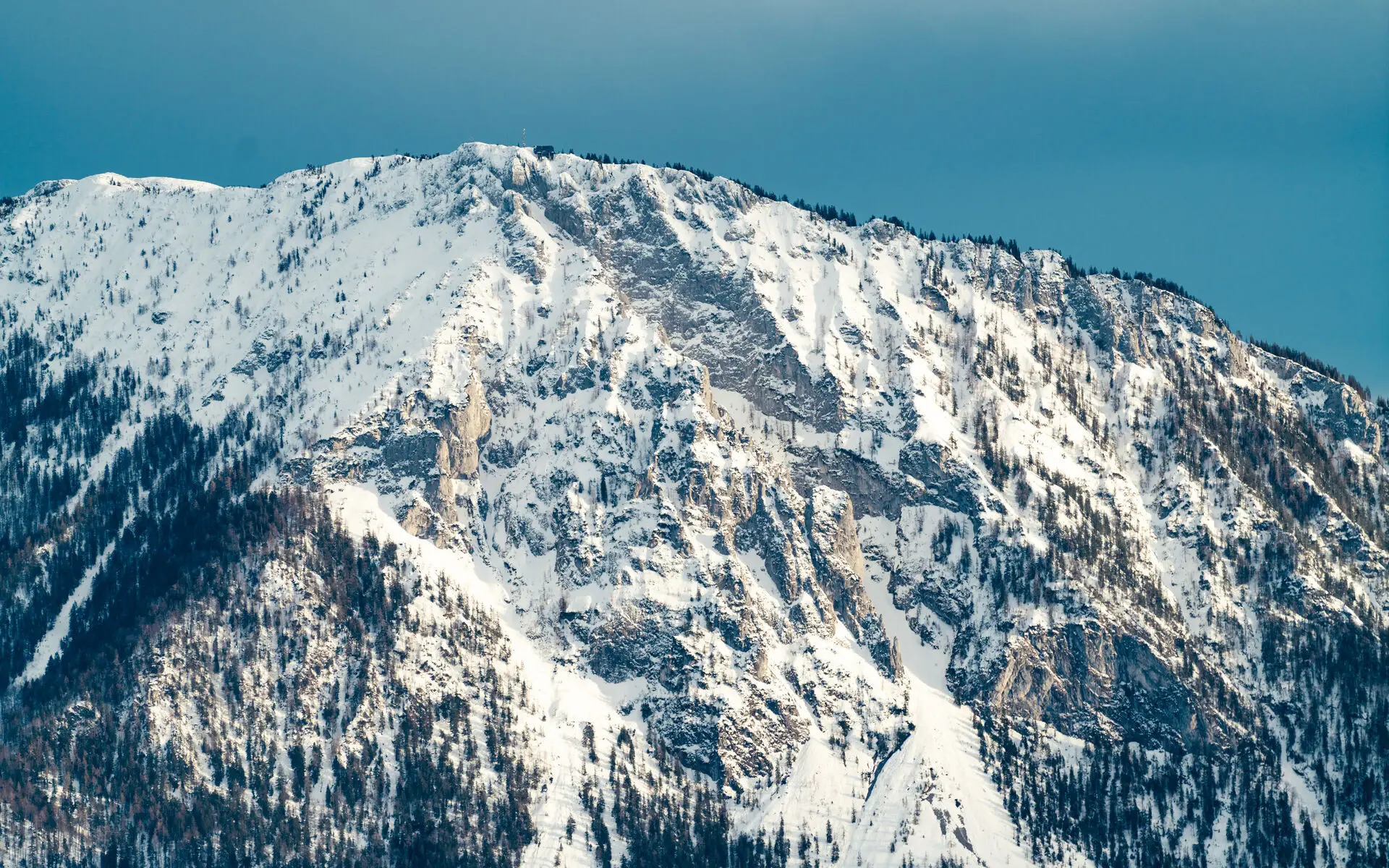 Ein hoher schneebedeckter Berg mit vielen Wäldern im Sonnenschein.