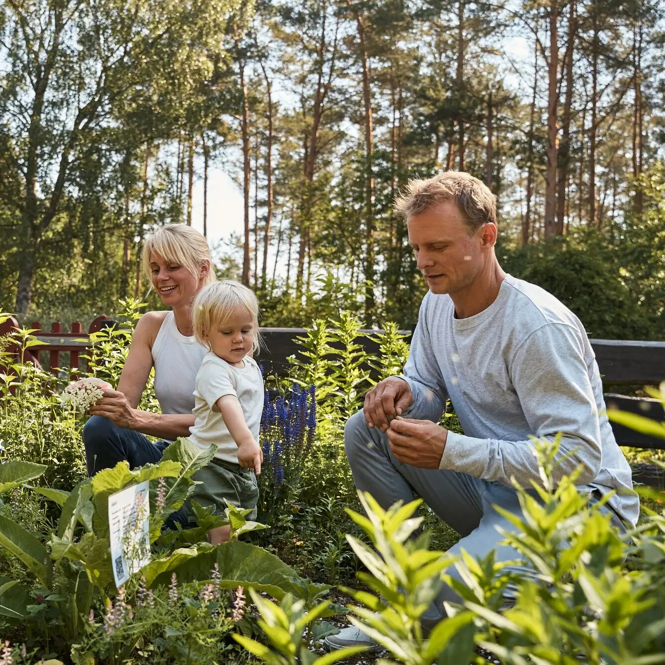Eine Gruppe von Menschen in einem Garten.