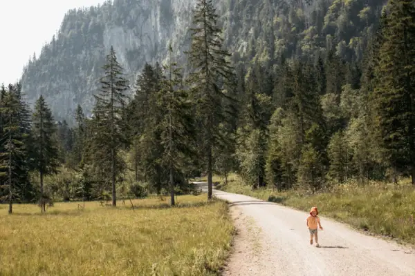 Kind beim Wandern Ein Kind geht auf einem Feldweg, im Hintergrund sind Bäume und Berge zu sehen.