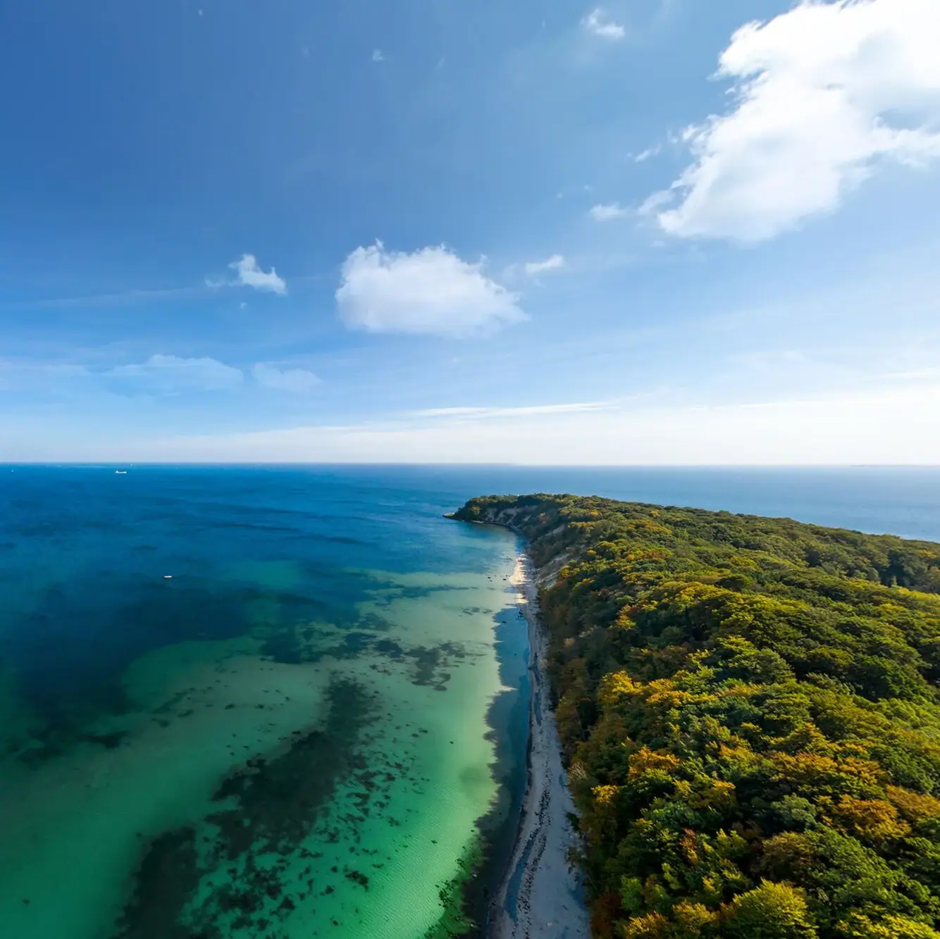 Luftaufnahme Rügen Strand mit Bäumen und Wasser im Vordergrund, Himmel mit Wolken im Hintergrund.
