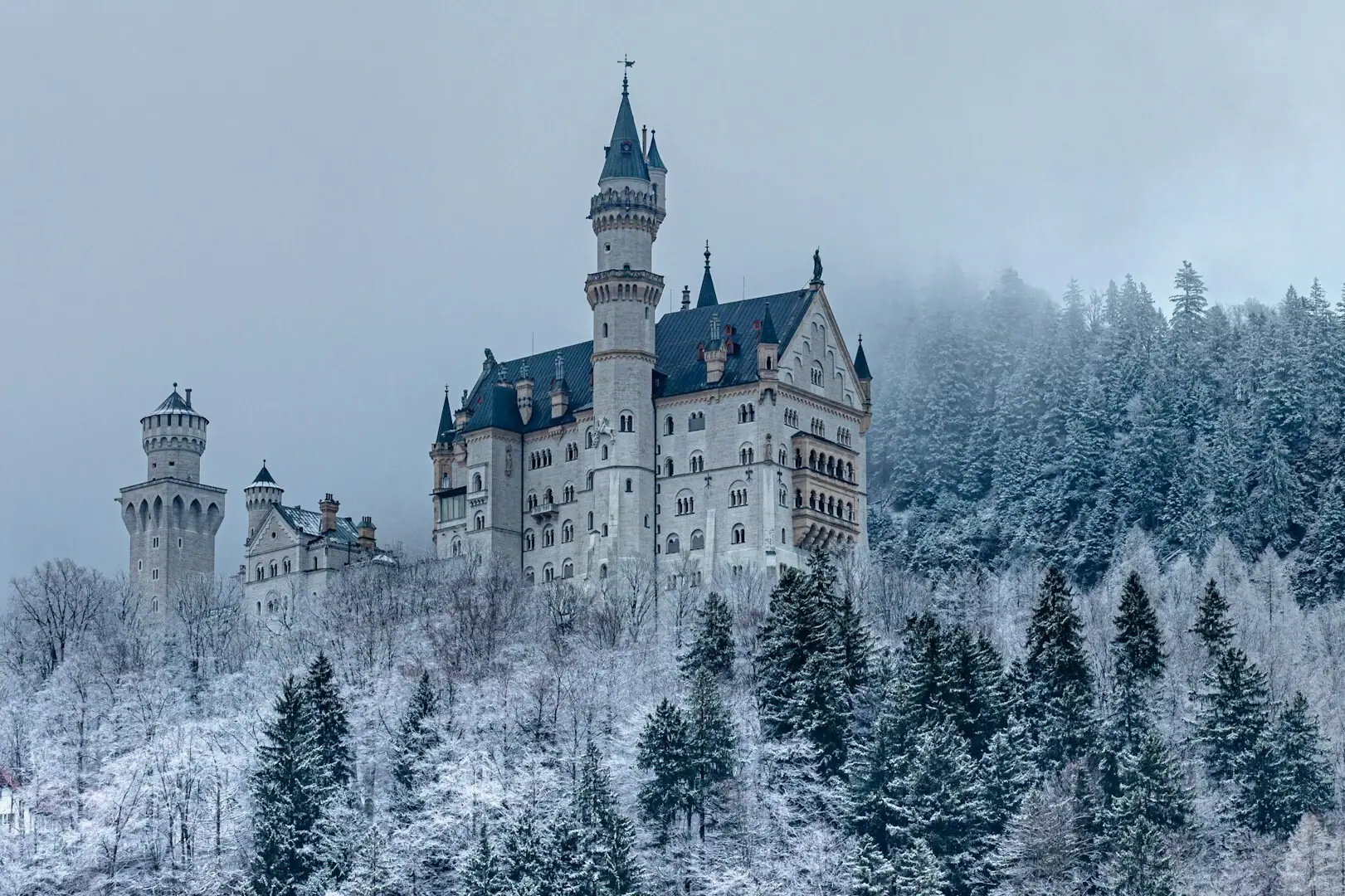 Schloss Neuschwanstein Winter Das Schloss Neuschwanstein auf einem Hügel umgeben von schneebedeckten Bäumen im Winter.