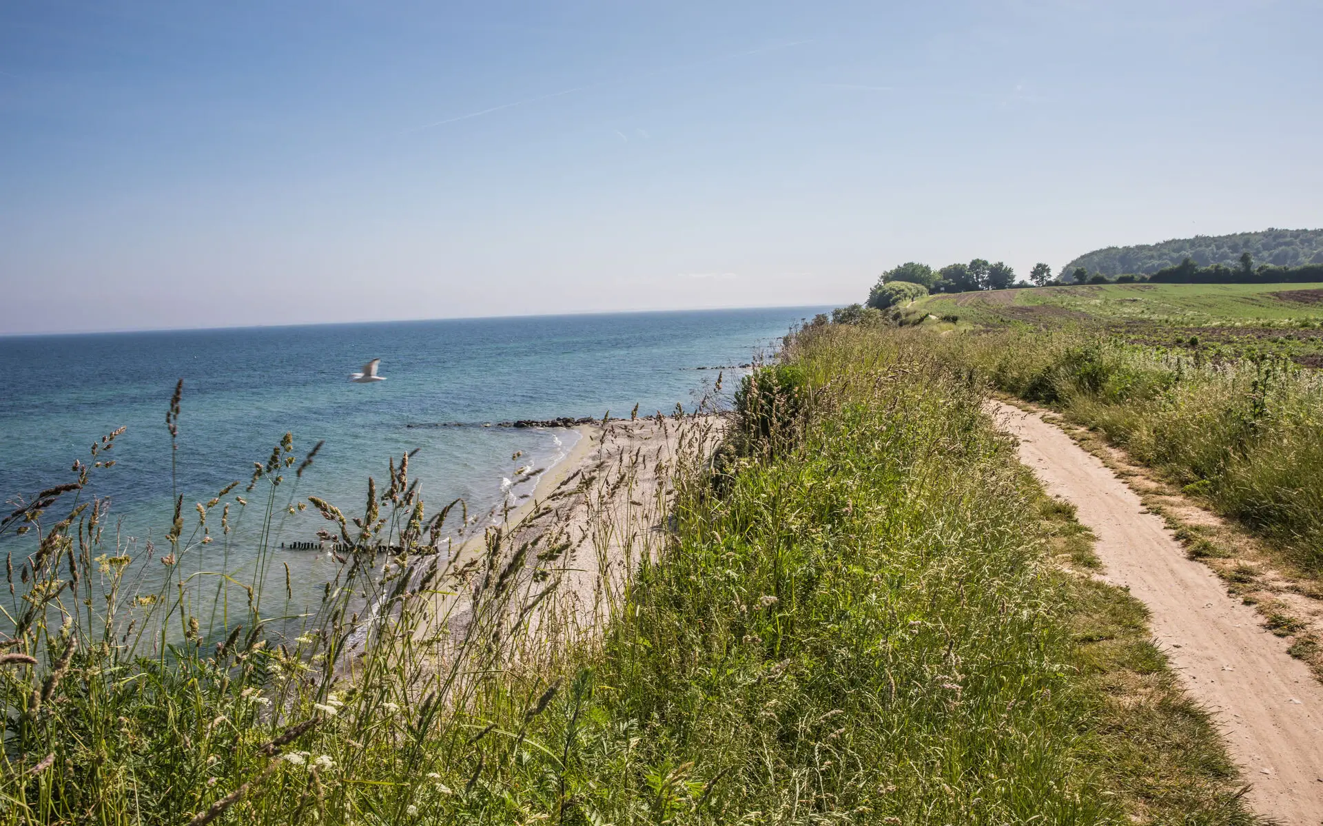 Strand Ein Weg entlang der Ostseeküste im Grünen.