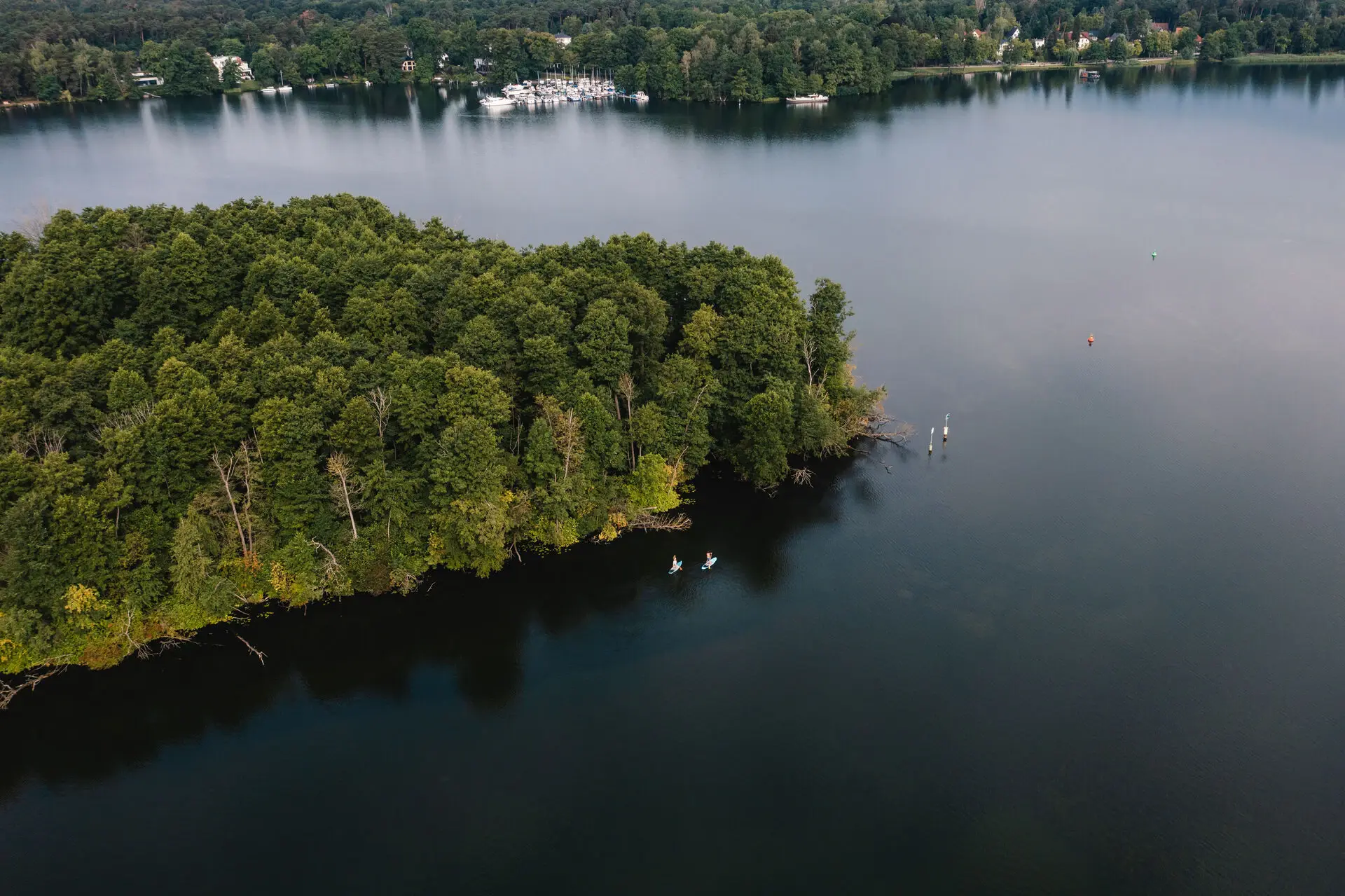 Scharmützelsee Eine kleine Insel mit vielen Bäumen ragt in einen See