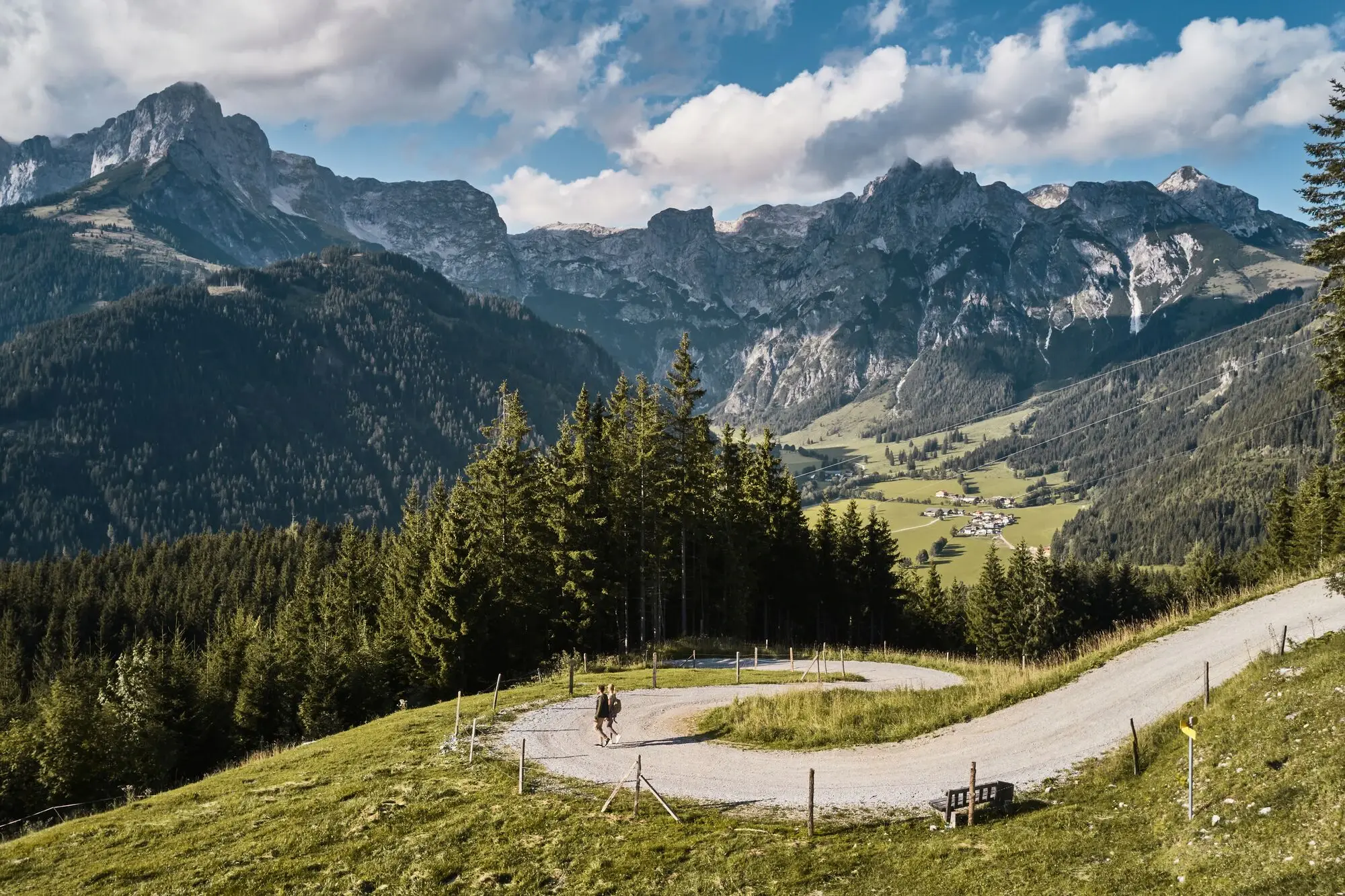 Wandern Werfenweng Person geht auf einem Weg in einer grasbewachsenen Landschaft mit Bäumen und Bergen.