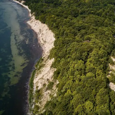 Luftaufnahme Rügen Luftaufnahme eines Strandes mit Bäumen im Vordergrund und Wasser im Hintergrund.