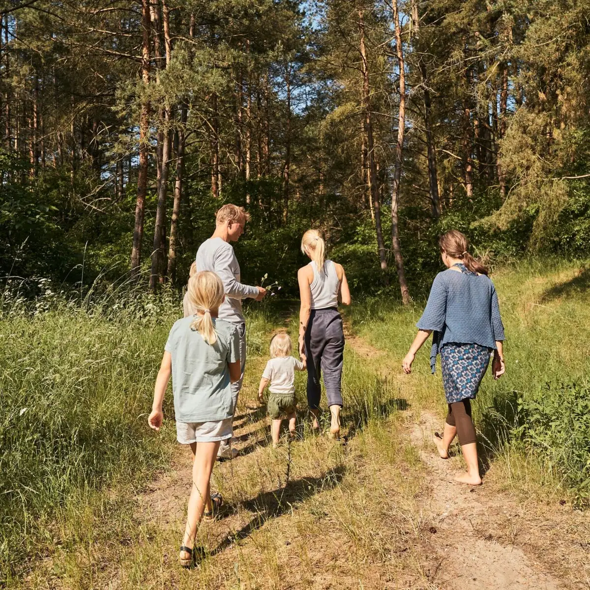 Eine Gruppe von Menschen wandert auf einem Pfad im Wald.