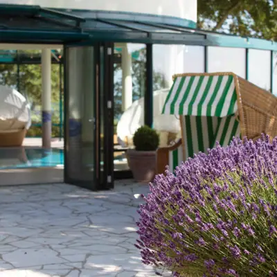 Lila Blume neben einem Pool