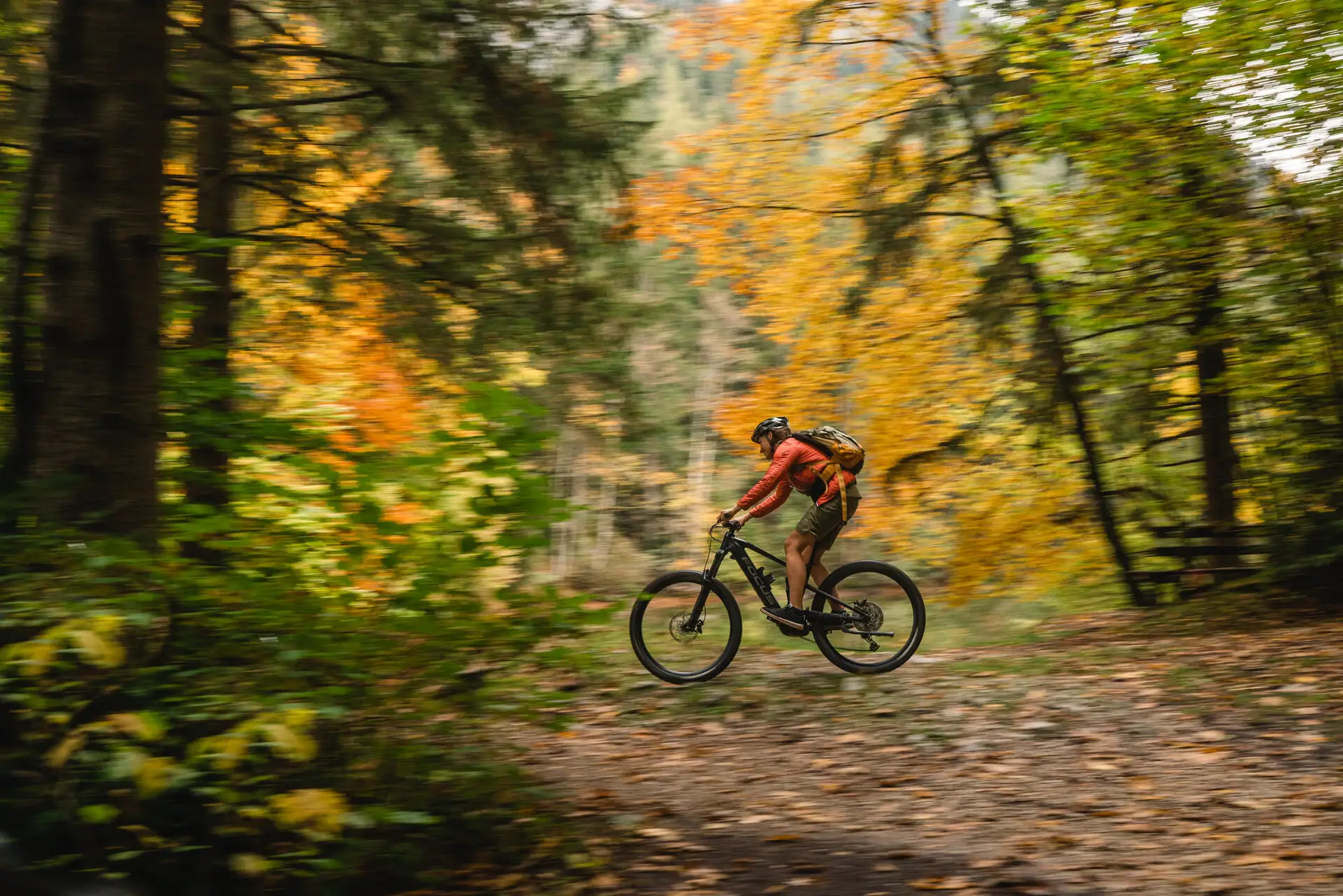 Mountainbike fahren Eine Person fährt mit dem Fahrrad durch den Wald.