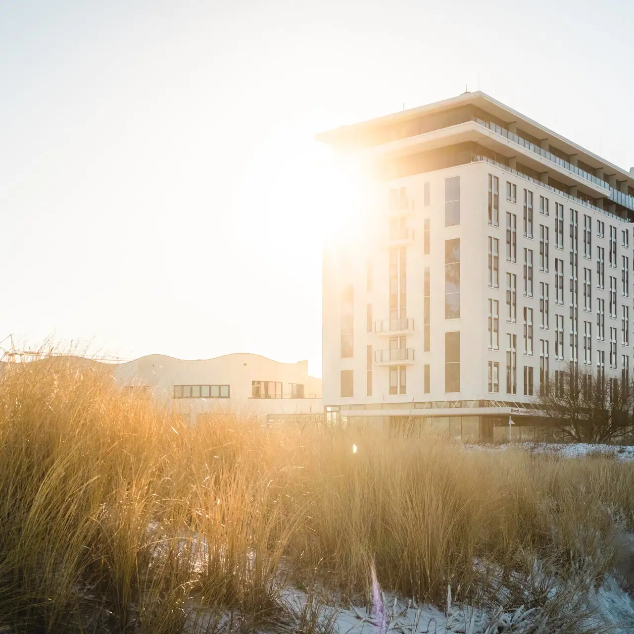 aja Warnemünde Hohes Gras vor einem Gebäude im Freien unter klarem Himmel.
