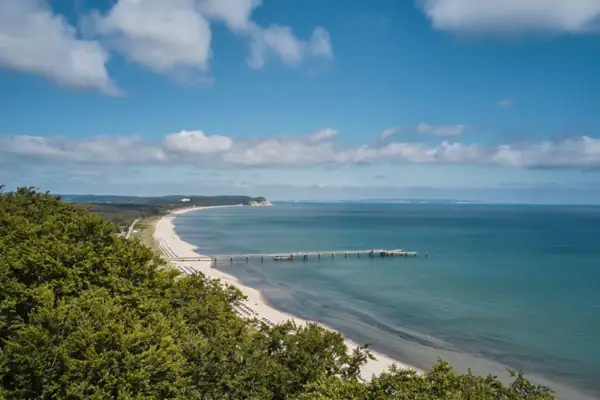Seebrücke Ein Strand mit einem Pier und Bäumen.