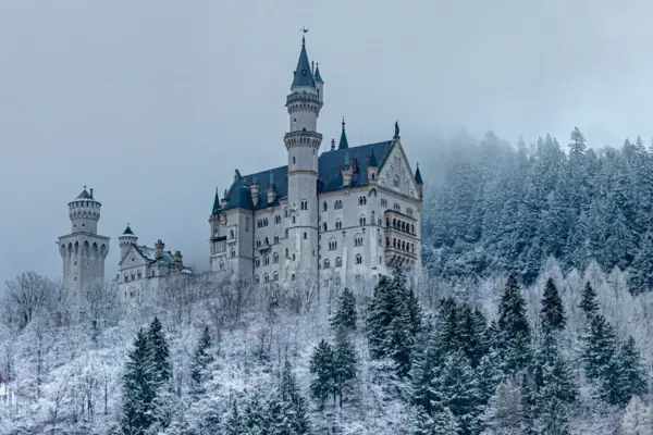 Schloss Neuschwanstein Winter Das Schloss Neuschwanstein auf einem Hügel umgeben von schneebedeckten Bäumen im Winter.