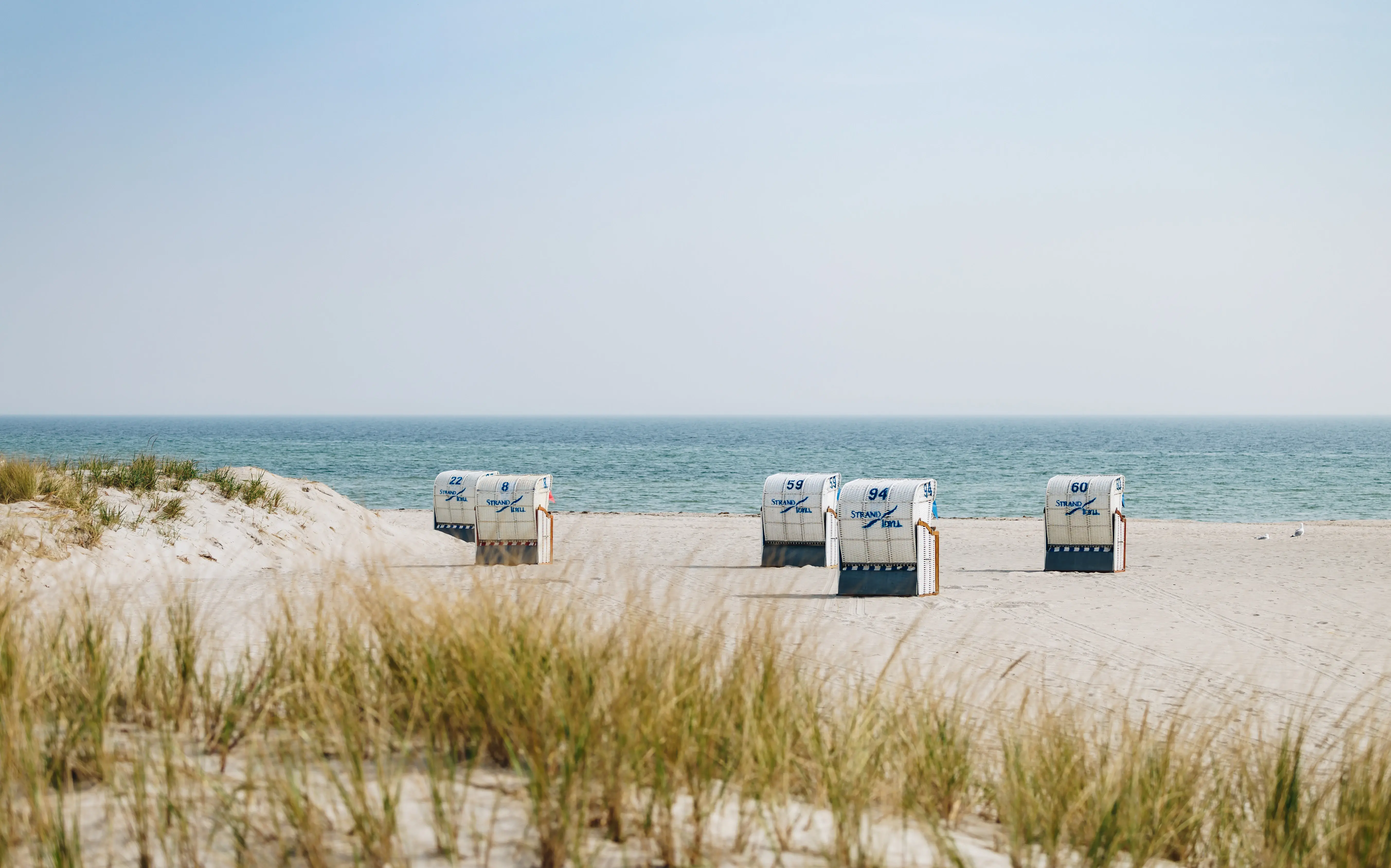 An einem Strand mit Dünengräsern stehen Strandkörbe in der Ferne.