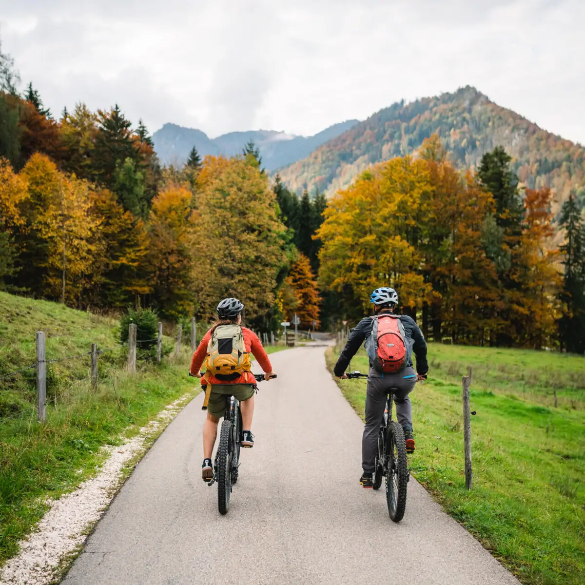 Fahrradtour Zwei Personen fahren mit Fahrrädern auf einer Straße, im Hintergrund sind Bäume zu sehen.
