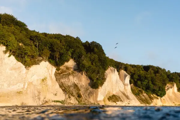 Kreidefelsen Klippe mit Bäumen und Wasser im Vordergrund.