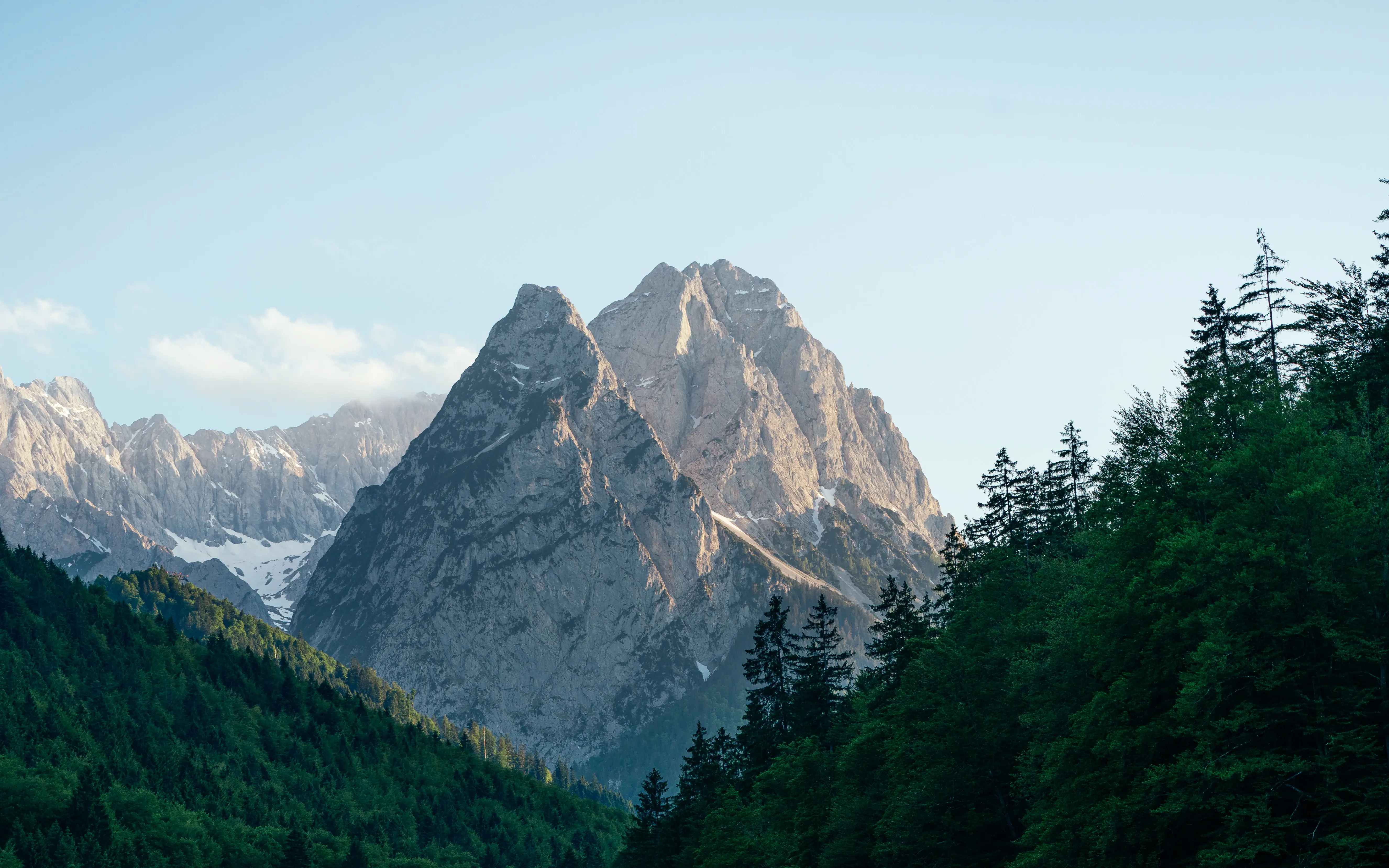 Eine Bergspitze umgeben von Bäumen