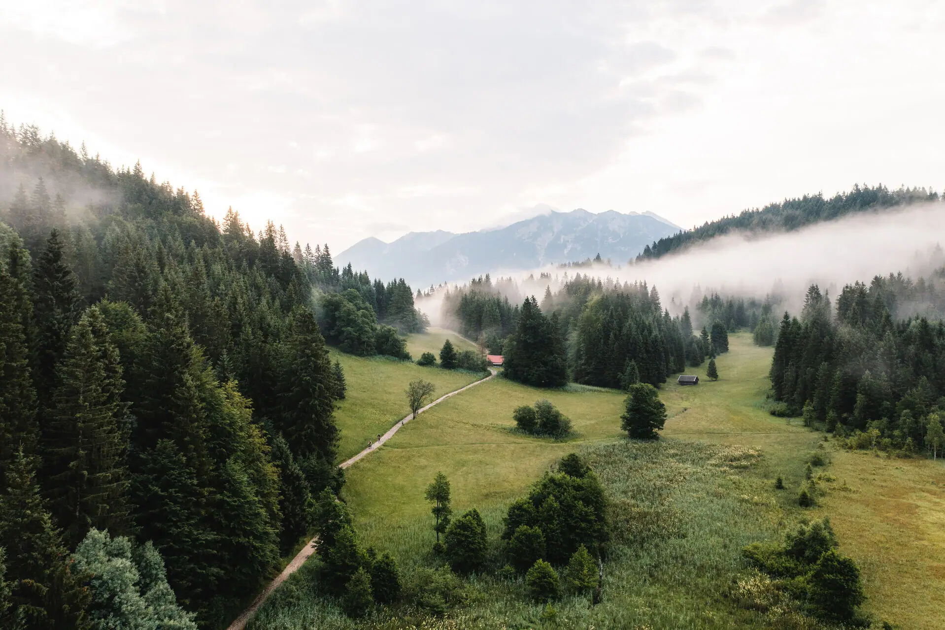 Garmisch Landschaft Landschaft mit Bäumen und Nebel.