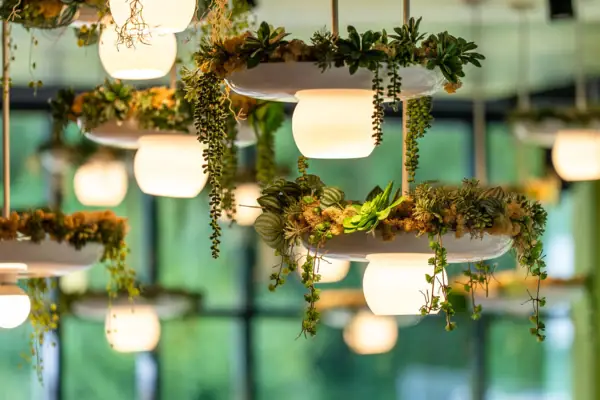 Lampen Beleuchtete Pflanzenarrangement mit mehreren Lichtquellen.