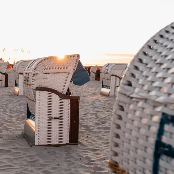Strandkörbe Eine Gruppe weißer Korbstühle am Strand.