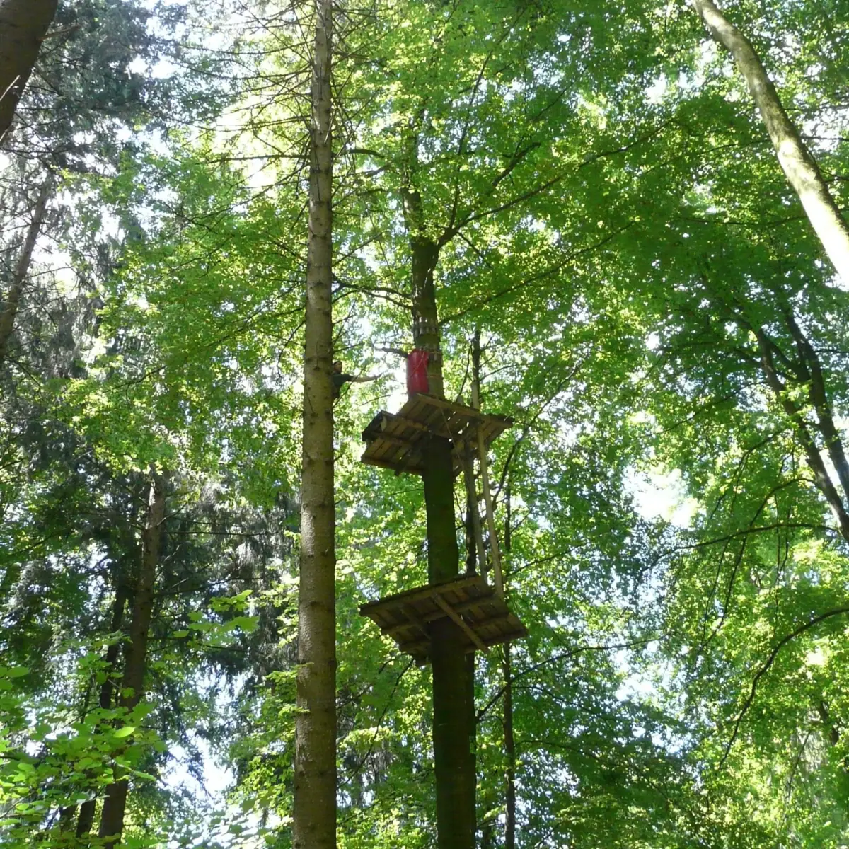 Kletterwald Eine Person in einem Kletterwald.