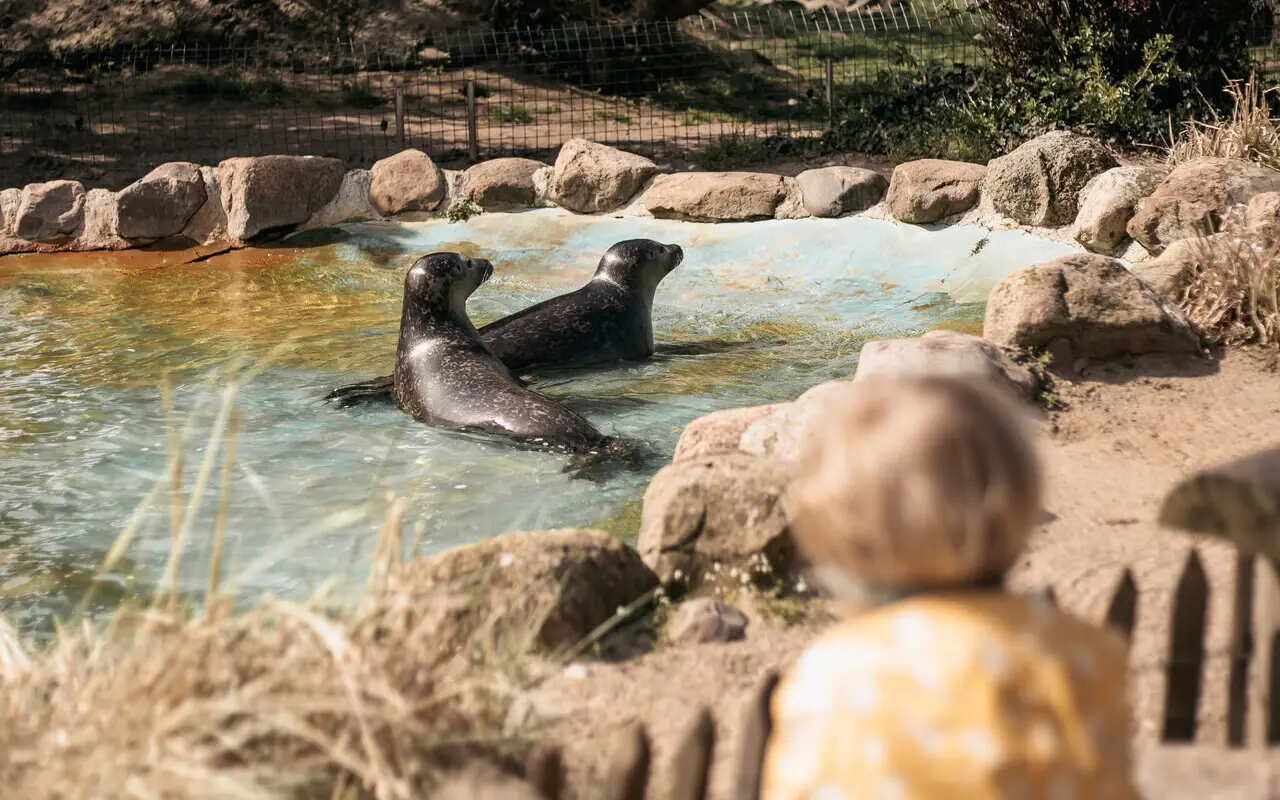 Grömitz Tierpark Grömitz Tierpark