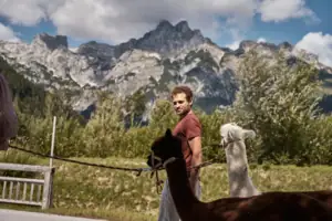 Ein Mann steht neben Alpakas im Freien.