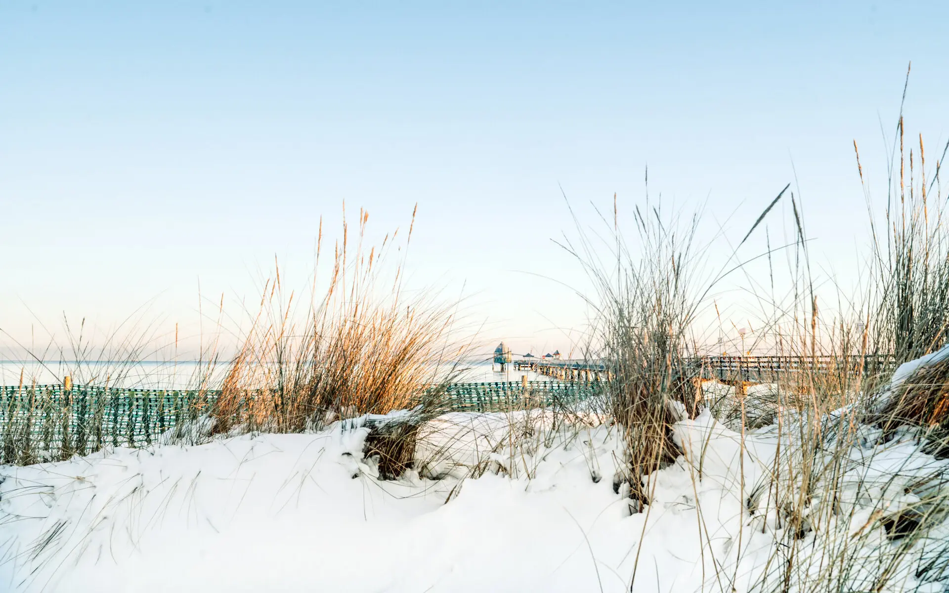 Seebrücke Grömitz im Winter Schneebedeckter Boden mit hohem Gras im Vordergrund und einem Steg im Hintergrund.