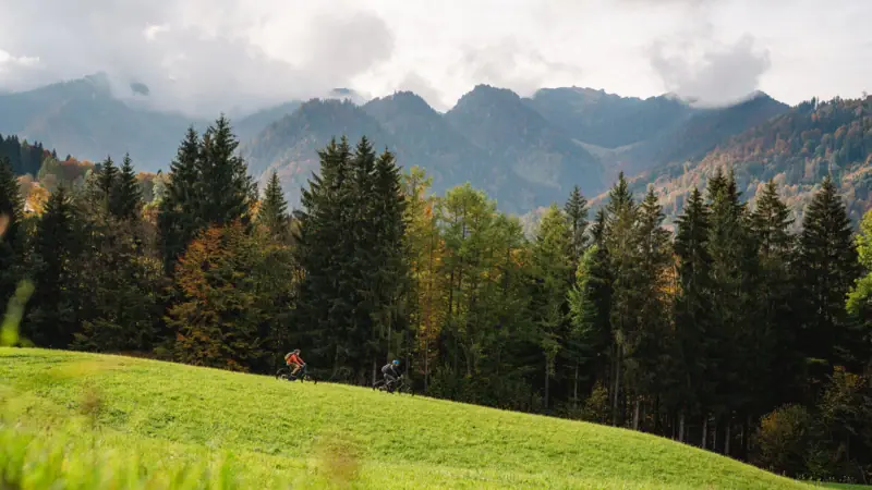 Urlaub in den Bergen Eine Person fährt mit dem Fahrrad auf einem grasbewachsenen Hügel, im Hintergrund sind Bäume und Berge zu sehen.