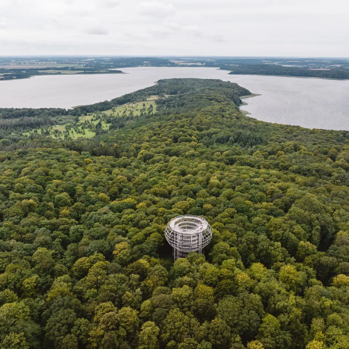 Baumwipfelpfad Große runde Struktur in einem Wald.