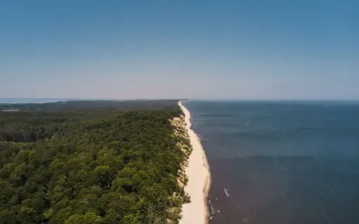Strand mit Bäumen und Wasser, umgeben von einer Küstenlandschaft. Strand mit Bäumen und Wasser, umgeben von einer Küstenlandschaft.