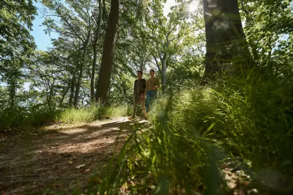 Wandern im Wald Zwei Personen stehen auf einem Pfad im Wald.